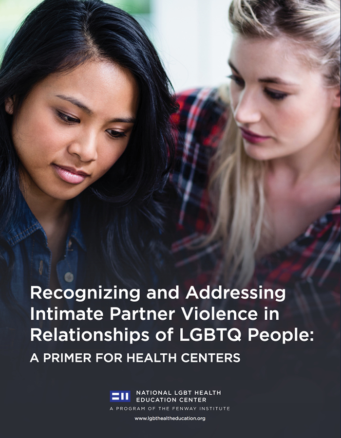 Intimate Partner Violence in Relationships of the LGBTQ People 