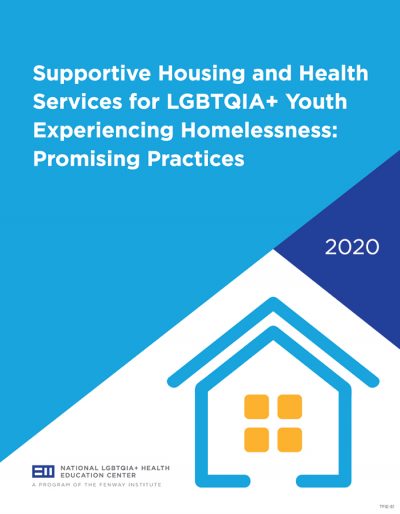 Supportive Housing and Health Services for LGBTQIA+ Youth Experiencing Homelessness: Promising Practices